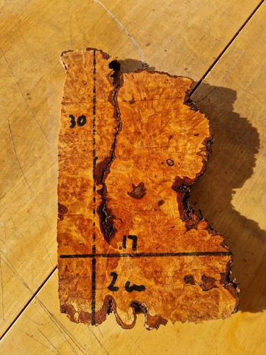 Alder burl burr wood - alder,