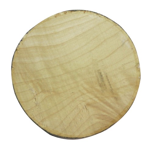 Sycamore bowl blank - blank, x