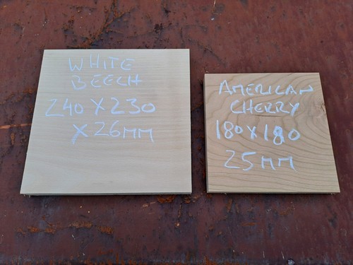 White beech and american - white,