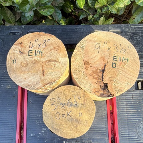 Elm oak wood bowl - elm,