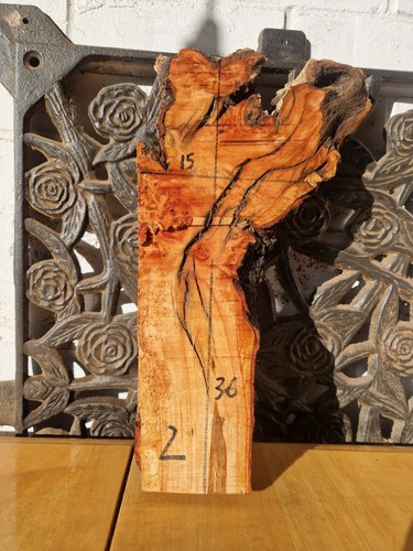 Alder burl burr wood - alder,