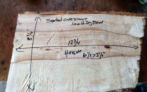 Spalted chestnut bowl blank - spalted,