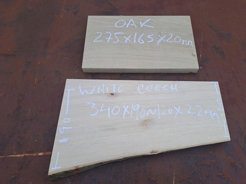 White beech and oak wood - white,