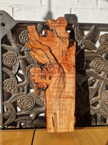 Alder burl burr wood - burr, slab