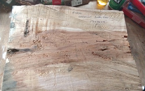 Large horse chestnut bowl - large,