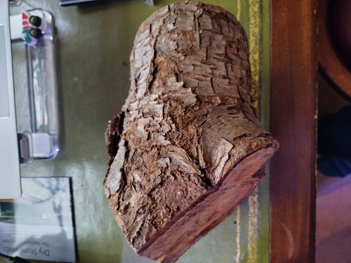 Wild cherry wood crotch blank - wild,