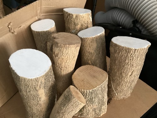 Woodturning blanks timber - blanks,