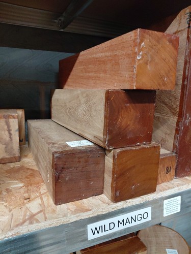 Wild mango spindle wood - wild, blank