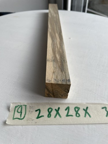 Spalded beech 28mm x - spalded,